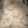 Buy MDMA Ecstasy Molly - Buy Mushrooms California, USA
